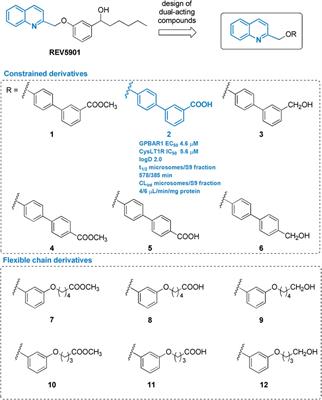 Discovery of a Potent and Orally Active Dual GPBAR1/CysLT1R Modulator for the Treatment of Metabolic Fatty Liver Disease